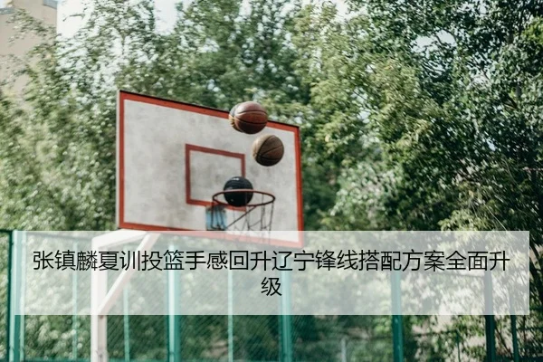 张镇麟夏训投篮手感回升辽宁锋线搭配方案全面升级