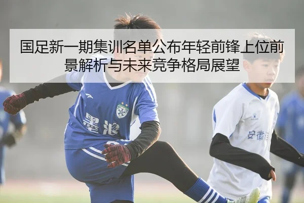 国足新一期集训名单公布年轻前锋上位前景解析与未来竞争格局展望